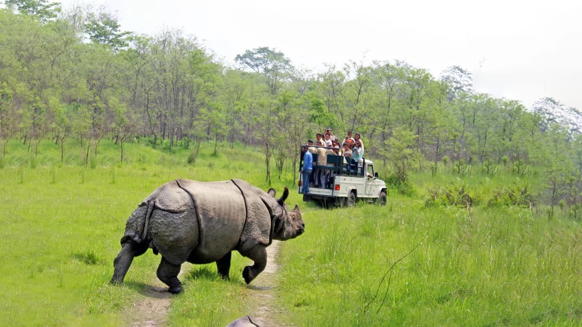 Kathmandu, Chitwan, Lumbini and Pokhara Tour