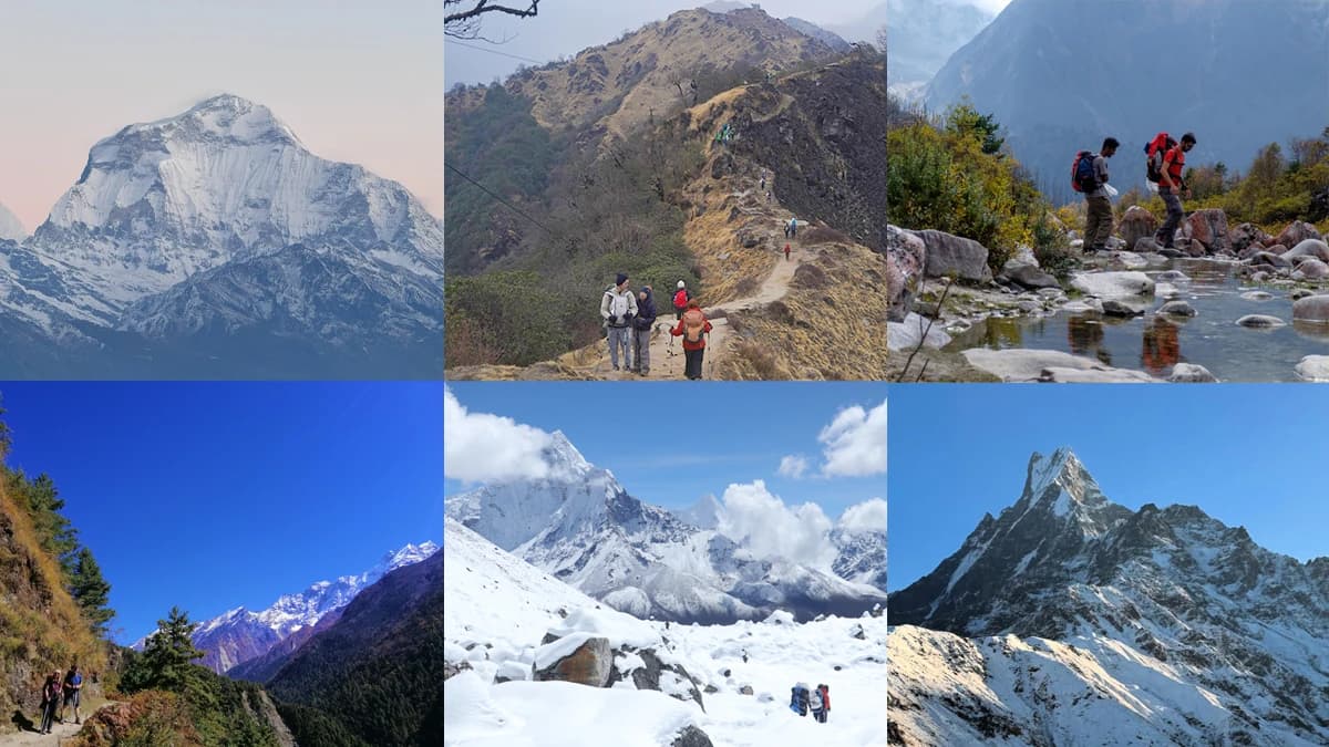 Best Summer Treks in Nepal 2025