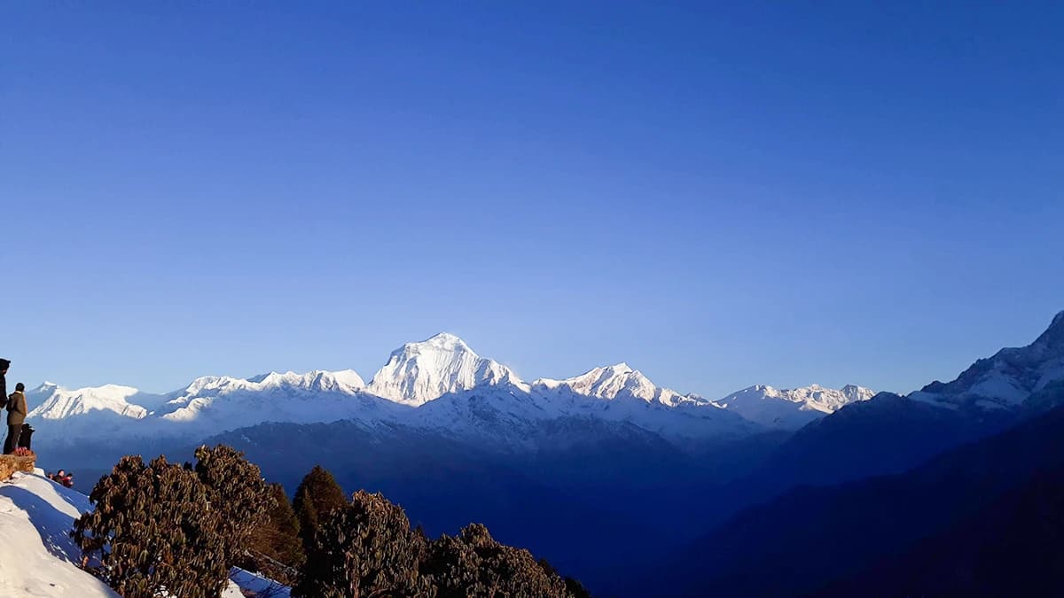 Ghorepani Poon Hill Trek