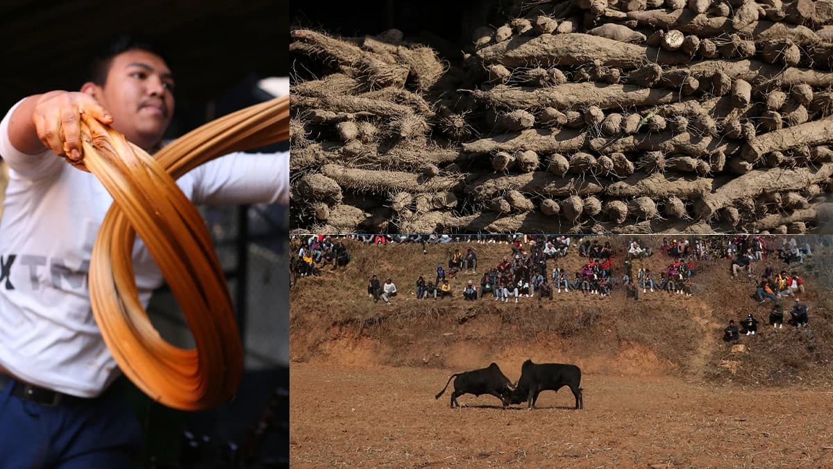 Maghe Sankranti Festival in Nepal 2025