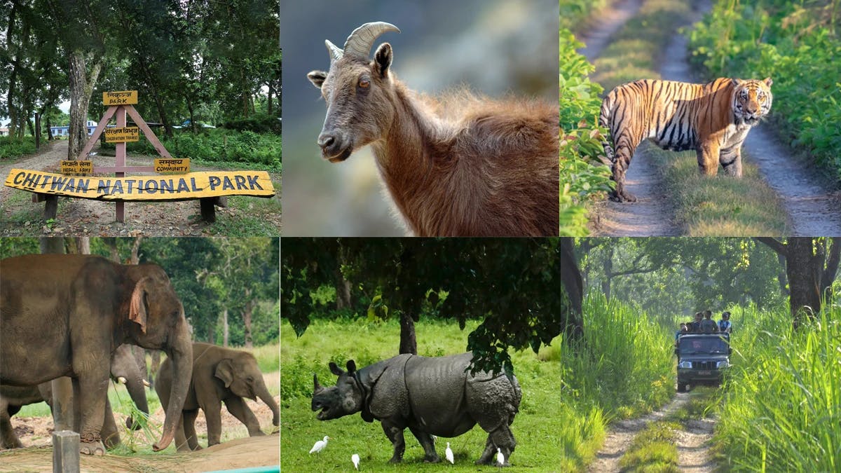National Parks in Nepal