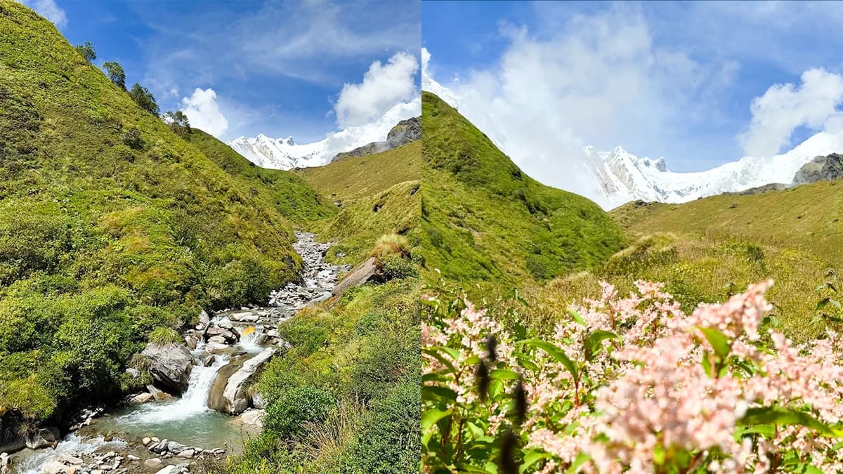 Popular spring treks in Nepal for 2025