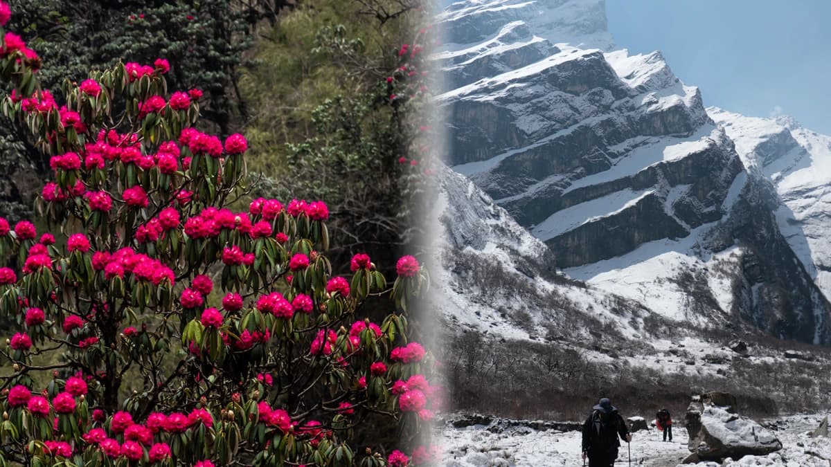 Annapurna Base Camp: Where Adventure Meets Serenity