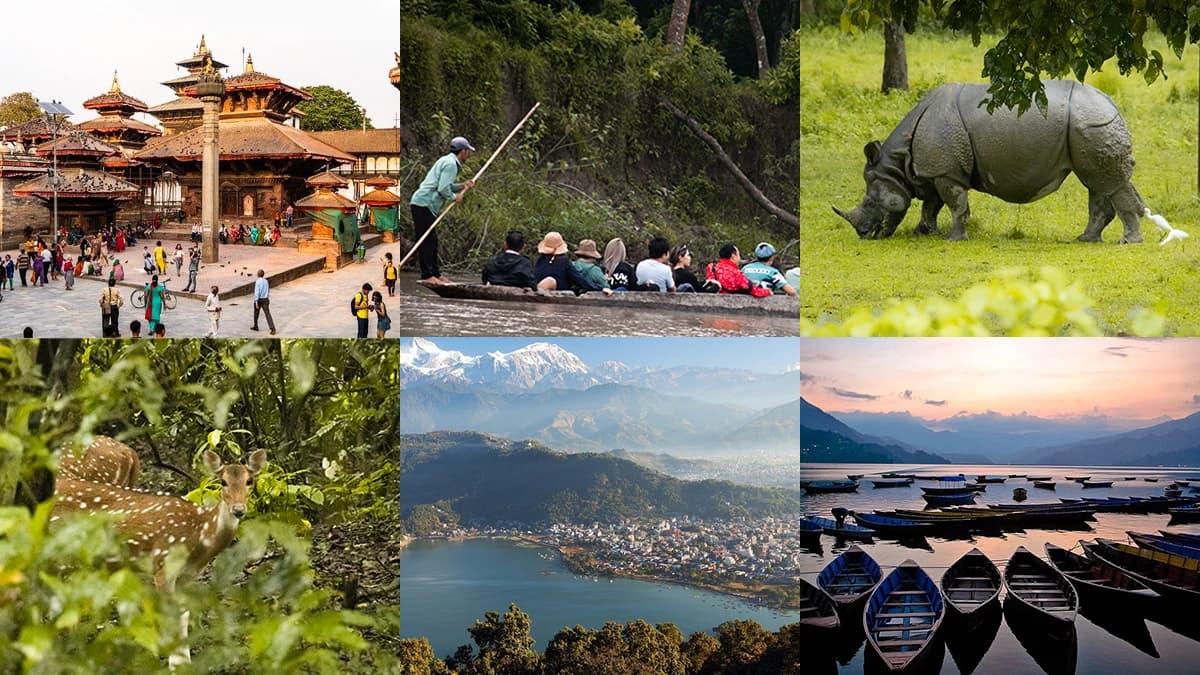 7night 8day Kathmandu, Chitwan and Pokhara Tour