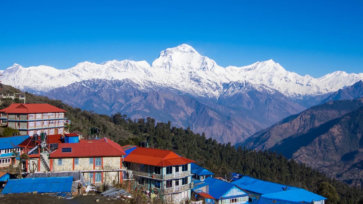 Ghorepani Poon Hill Trek