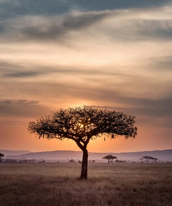 Tanzania