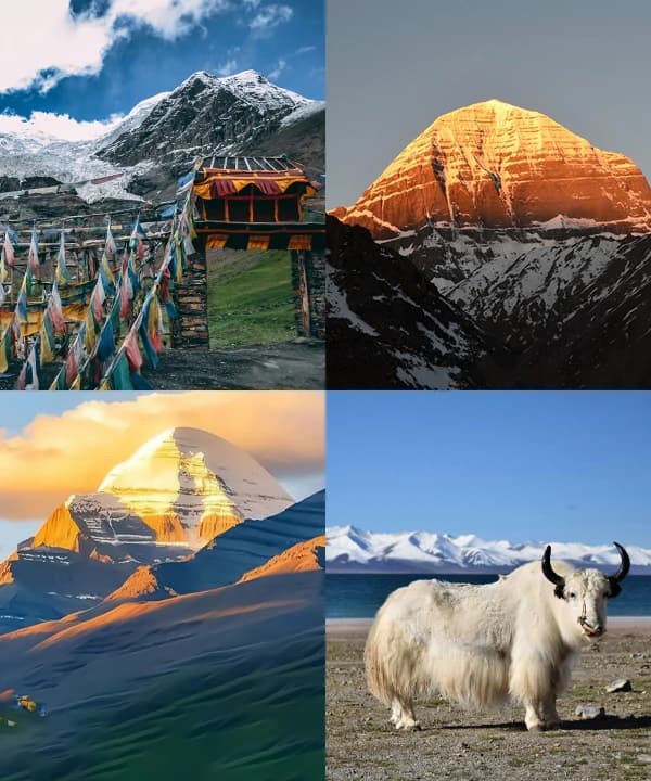 Tibet