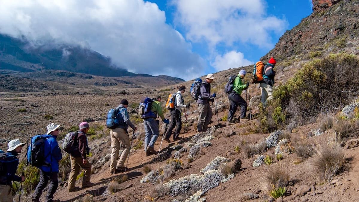 Kilimanjaro Climbing via Machame Route