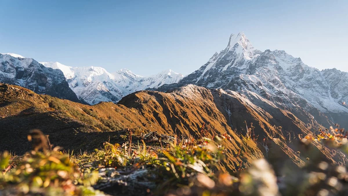 Mardi Himal Yoga Trek