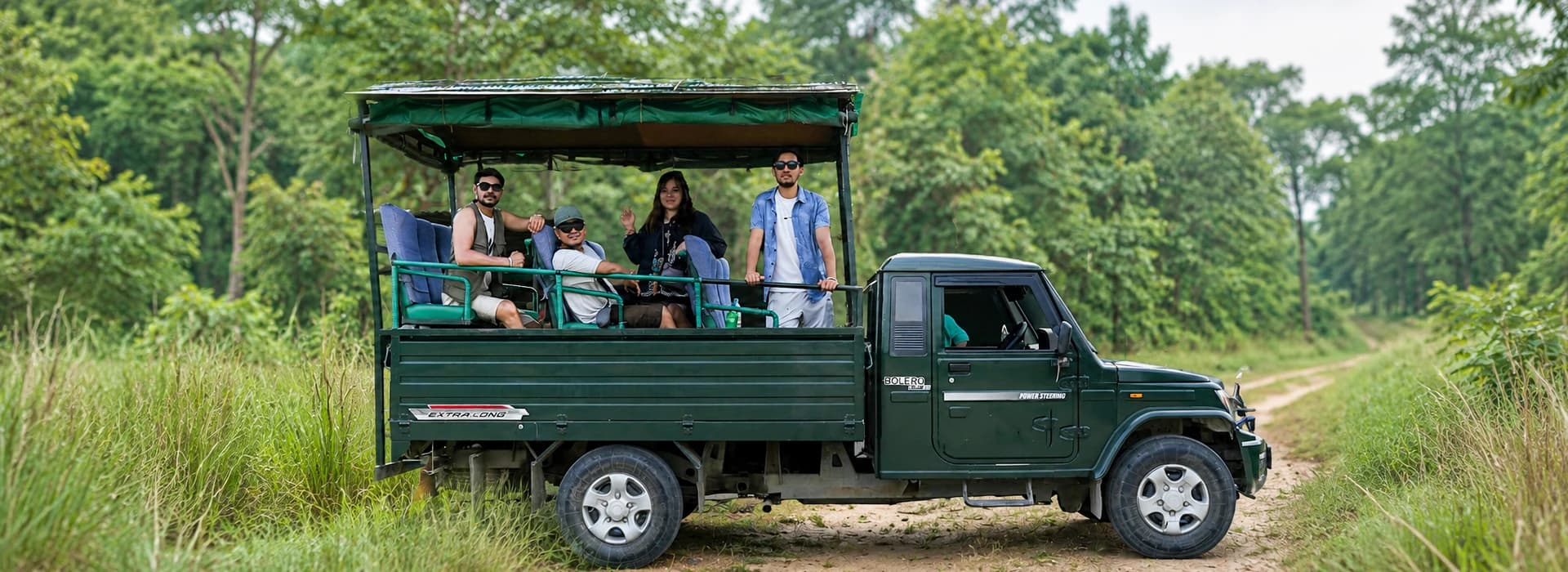Wildlife Safari