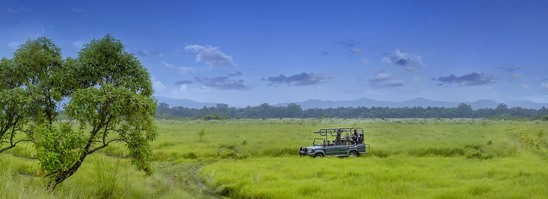 Wildlife Safari