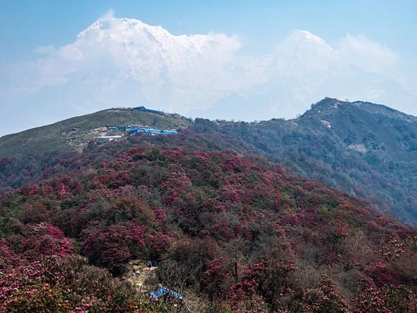 Mardi Himal Yoga Trek